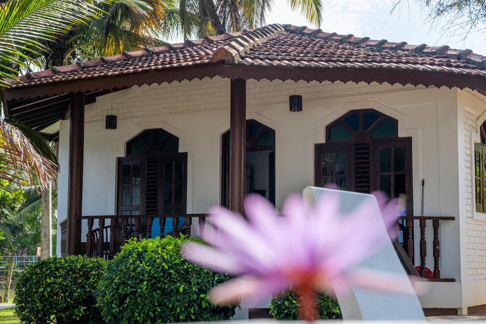 Serenity Beach Cabanas Tangalle Extérieur photo